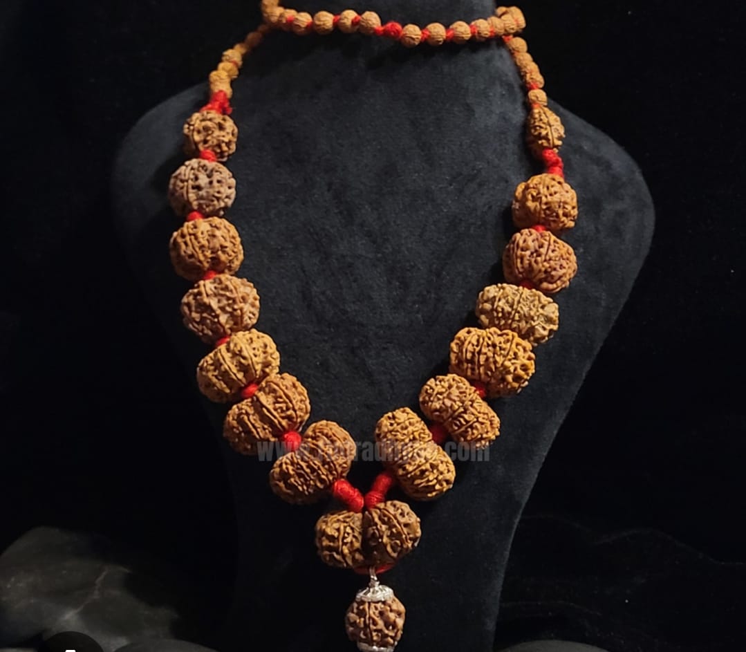RUDRAKSHA1-14 MUKHI KANTHA MALA.