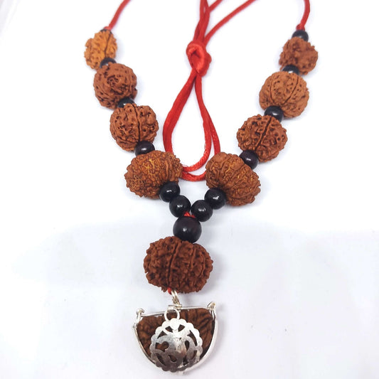 Education Combo Rudraksha (Nepal Origin)