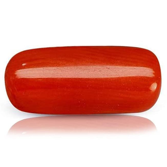 Italian Red Coral (Moonga) Capsule Shape