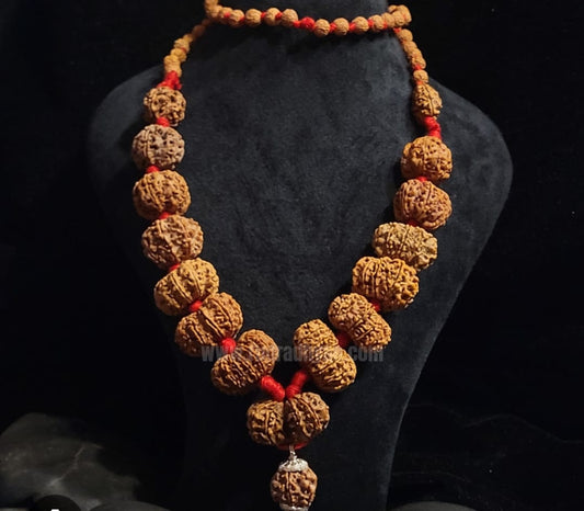 RUDRAKSHA1-14 MUKHI KANTHA MALA.